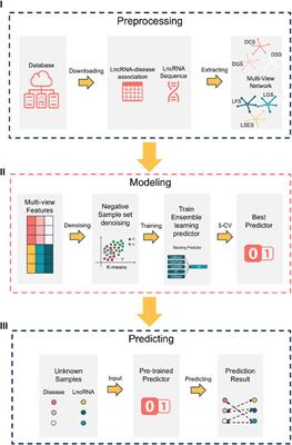 Applying negative sample denoising and multi-view feature for lncRNA-disease association prediction